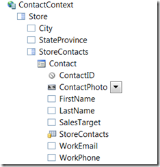 Data Sources window shows our model - Customize the Contact Details